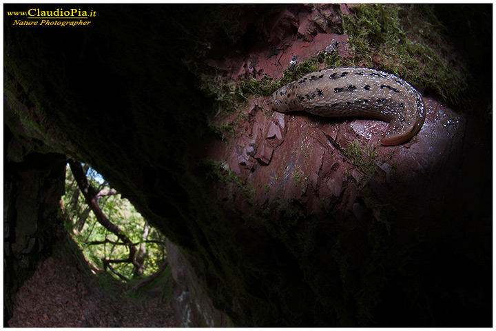 mine, cave, miniera, underground, photography, nature photographer